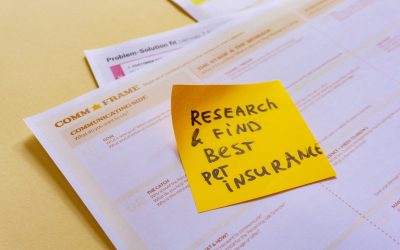 The Costly Mistakes People Make When Choosing Business Insurance