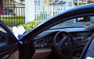 What affects the cost of car insurance the most