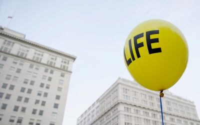 Is term life insurance always cheaper than whole life