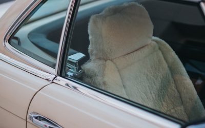 The Impact of Airbags on Car Insurance Costs